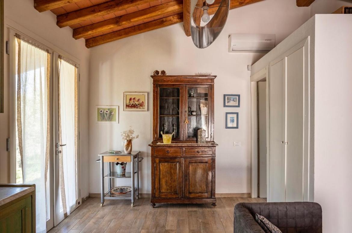 פשיה Cozy Tuscany Apartment With View מראה חיצוני תמונה